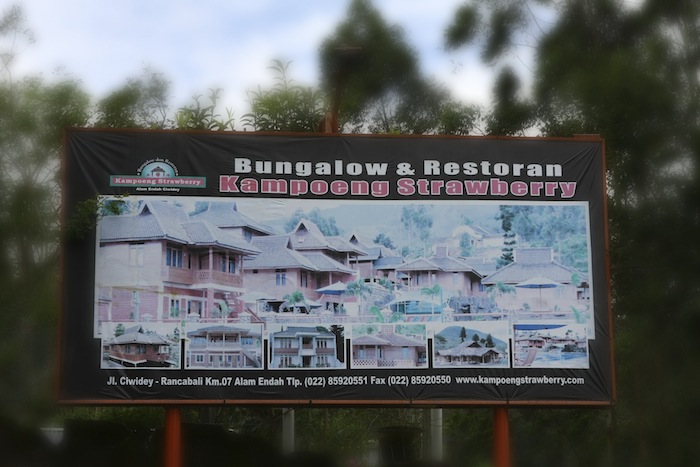 Kampoeng Strawberry 02