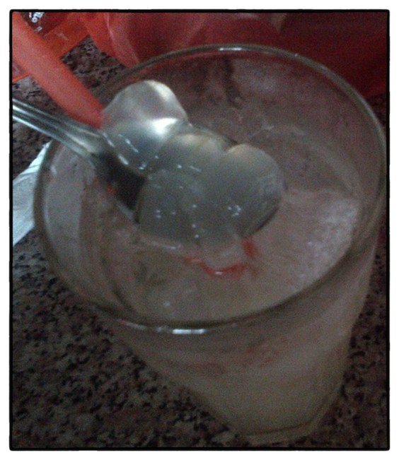 Aloe Vera with Ice  01