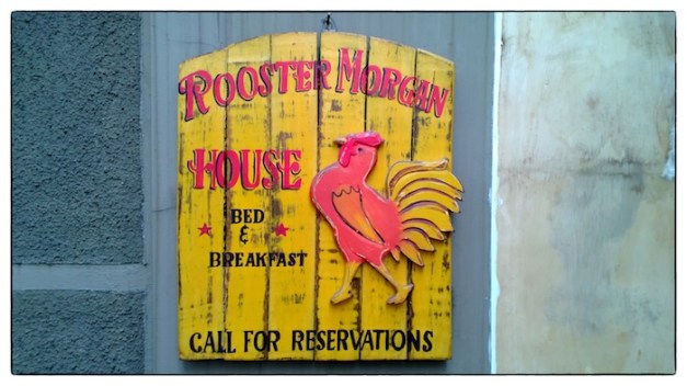 Rooster Morgan House